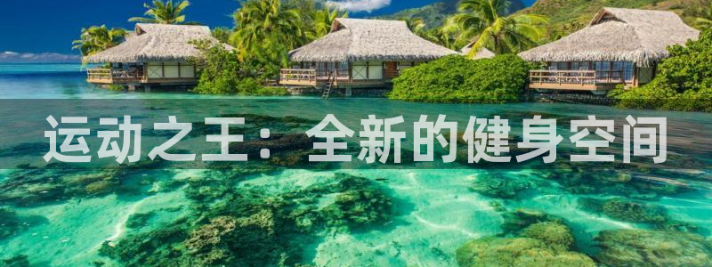 意昂集团官网：运动之王：全新的健身空间