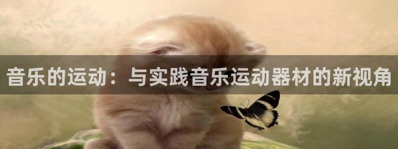 意昂体育4娱乐：音乐的运动：与实践音乐运动器材的新视