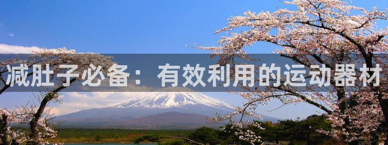 意昂4集团简介：减肚子必备：有效利用的运动器材