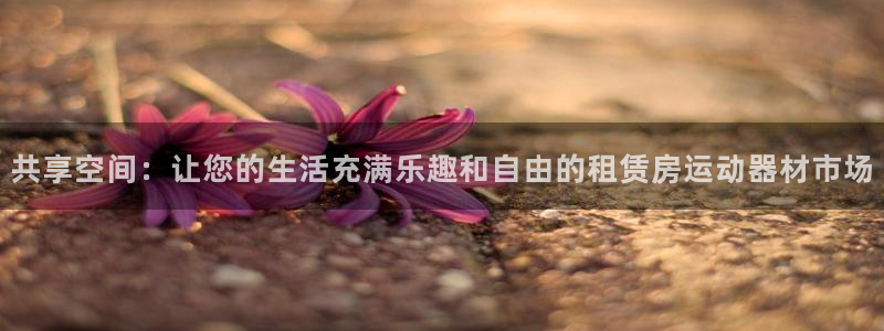 意昂体育4是干嘛的公司：共享空间：让您的生活充满乐趣和自由的