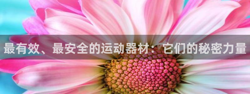 意昂4神州：最有效、最安全的运动器材：它们的秘密力量
