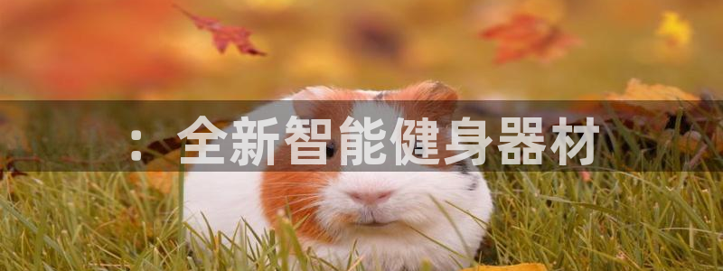 意昂4集团官网网址：：全新智能健身器材