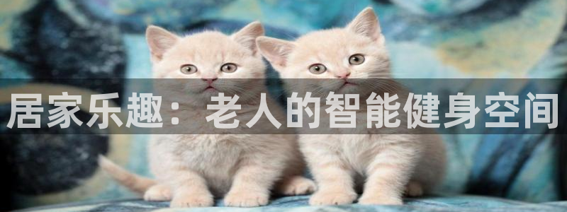 意昂4集团：居家乐趣：老人的智能健身空间