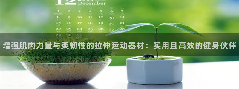 意昂4集团官网网址：增强肌肉力量与柔韧性的拉伸运动器