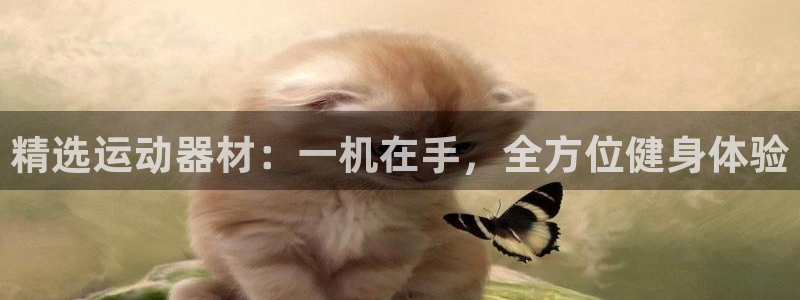 意昂平台体育：精选运动器材：一机在手，全方位健身体验