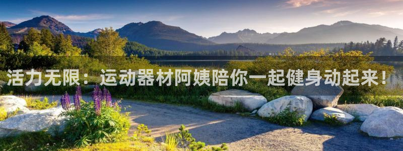 海南意昂体育4：活力无限：运动器材阿姨陪你一起健身动起来！