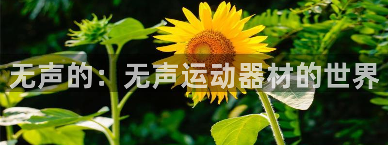 意昂体育4平台假的吗是真的吗：无声的：无声运动器材的