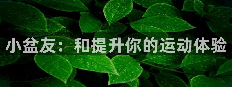 意昂体育4平台注册要钱吗安全吗：小盆友：和提升你的运动体验