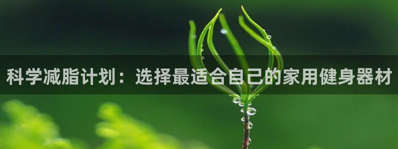 意昂体育4软件：科学减脂计划：选择最适合自己的家用健