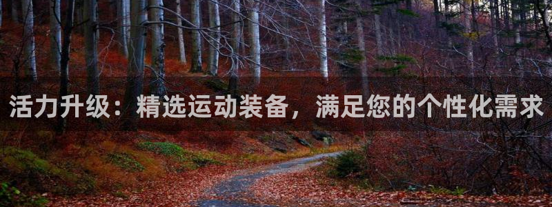 意昂体育4平台注册流程图：活力升级：精选运动装备，满