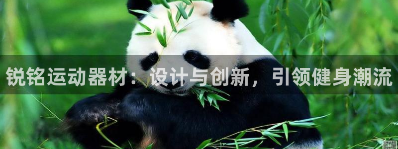 意昂4开户：锐铭运动器材：设计与创新，引领健身潮流