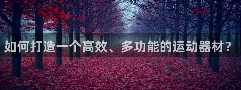 意昂体育4是干嘛的公司：如何打造一个高效、多功能的运动器材？