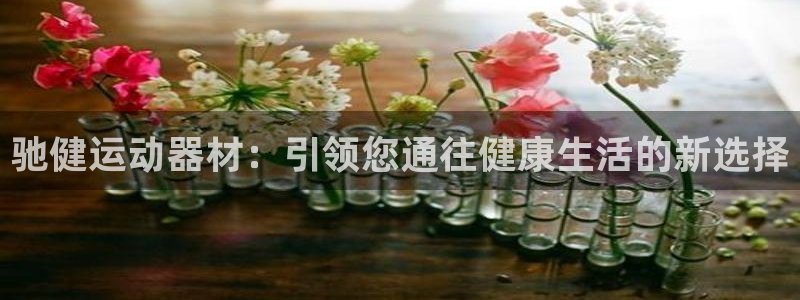 意昂4娱乐平台：驰健运动器材：引领您通往健康生活的新选择