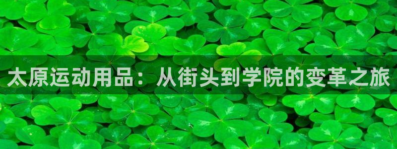意昂体育4平台是正规平台吗：太原运动用品：从街头到学院的变革