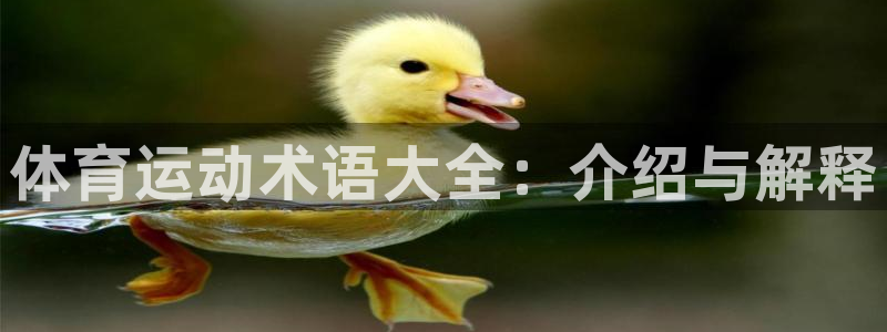 下载风速体育
