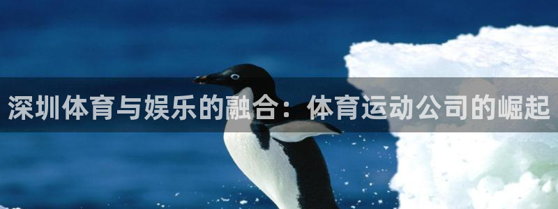 风速体育app下载安装最新版本
