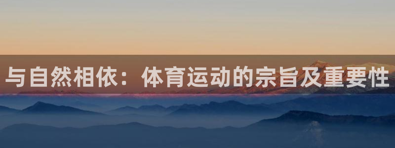 风速体育官网