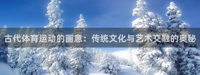风速体育直播app