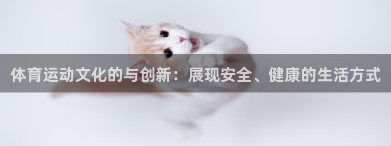 风速体育app下载安装最新版本