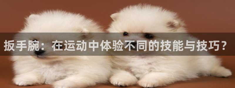 风速体育