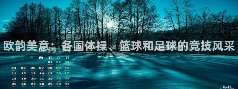 风速体育下载