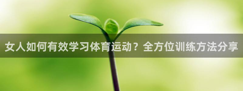 风速体育app