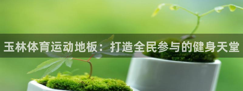 下载风速体育