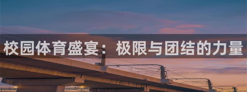 风速体育app下载官网最新版