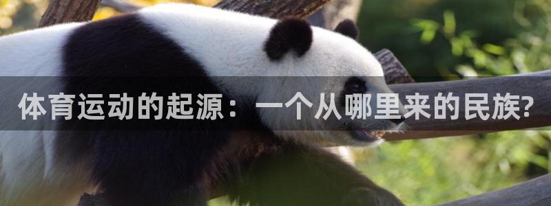 风速体育官网