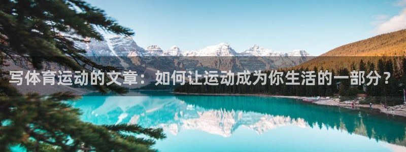 风速体育app下载官网最新版