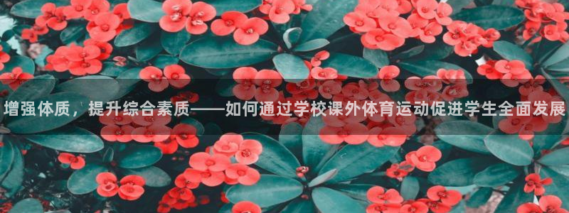 风速体育nba直播